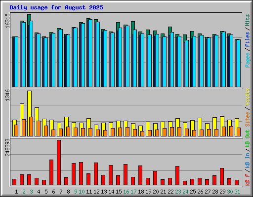 Daily usage for August 2025
