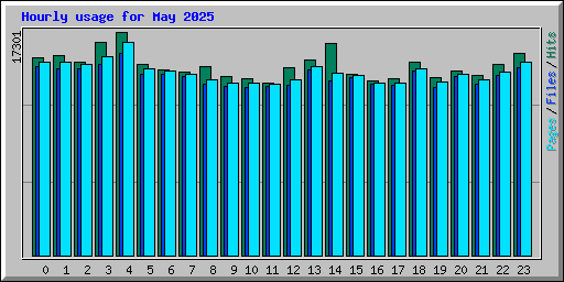 Hourly usage for May 2025