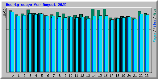 Hourly usage for August 2025