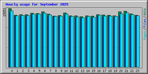 Hourly usage for September 2025