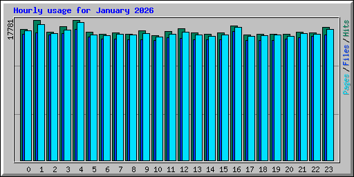 Hourly usage for January 2026