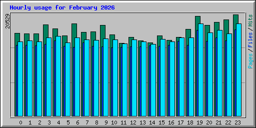 Hourly usage for February 2026